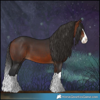 Horse Color:Bay Splash 