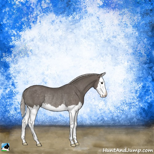 Horse Color:Silver Black Splash Rabicano 