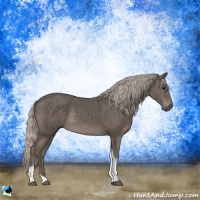 Horse Color:Silver Black Tobiano Rabicano 