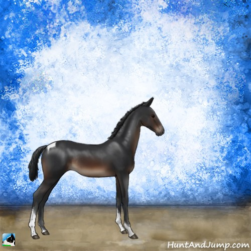 Horse Color:Brown Tobiano Rabicano 