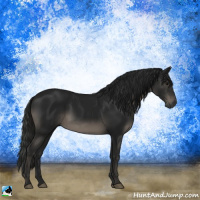 Horse Color:Gray Black Rabicano 