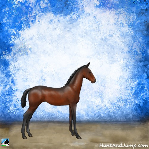 Horse Color:Brown Rabicano 