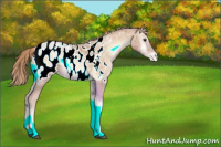 Horse Color:Red Onyx Ice Pearl Appaloosa