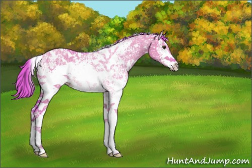 Horse Color:Watercolor White Spotted Liver Red Dun Ice