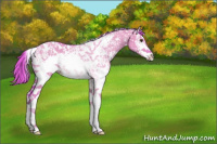 Horse Color:Watercolor White Spotted Liver Red Dun Ice