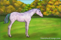 Horse Color:Painted Watercolor Liver Chestnut Ice 