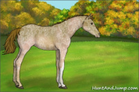 Horse Color:Chestnut Ice 