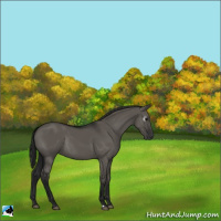 Horse Color:Gray Grullo Rabicano 