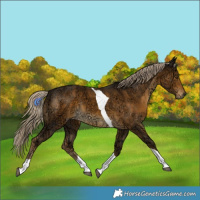 Horse Color:Chocolate Palomino Ice Mushroom Tobiano Rabicano