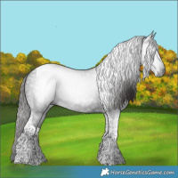 Horse Color:Gray Liver Chestnut Tobiano 