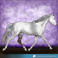 Horse Color:Gray Liver Chestnut Tobiano 