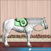 Horse Color:Gray Liver Chestnut Tobiano 