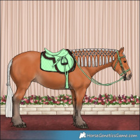 Horse Color:Silver Bay 