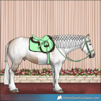 Horse Color:Gray Silver Bay Dun Tobiano 