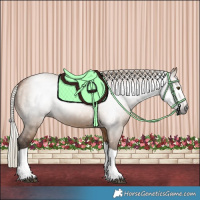 Horse Color:Gray Silver Bay Dun Tobiano 