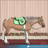 Horse Color:Silver Bay Dun Tobiano 