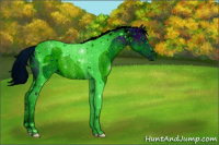 Horse Color:ERROR: UNKNOWN ANOMALY