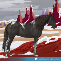 Horse Color:Liver Chestnut Tobiano 
