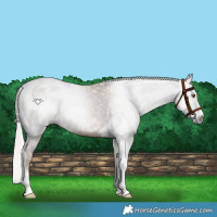 Horse Color:Gray Silver Black Pearl Tobiano 