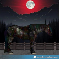 Horse Color:ERROR: UNKNOWN ANOMALY