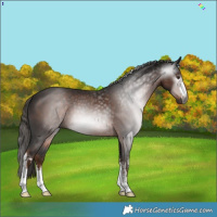 Horse Color:Gray White Spotted Liver Chestnut 