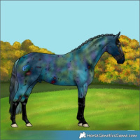 Horse Color:ERROR: UNKNOWN ANOMALY