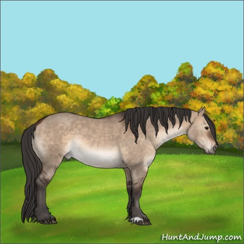 Horse Color:Brown Dun Rabicano 