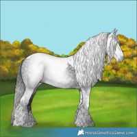 Horse Color:Gray Liver Chestnut Tobiano 