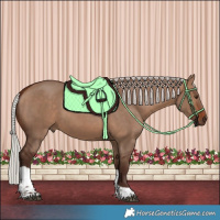 Horse Color:Silver Brown Dun Tobiano 