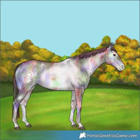 Horse Color:Nacre White Spotted Brown Pearl Onyx Brindle 