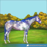Horse Color:Watercolor White Spotted Brown Onyx Brindle 