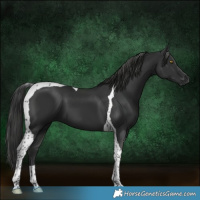 Horse Color:Platinum Liver Chestnut Tobiano 