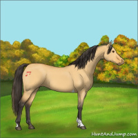 Horse Color:Buckskin Dun Tobiano