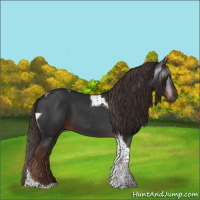 Horse Color:Gray Liver Chestnut Tobiano 