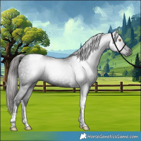 Horse Color:Gray Liver Chestnut Tobiano