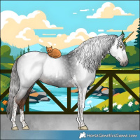 Horse Color:Gray Liver Chestnut Tobiano 