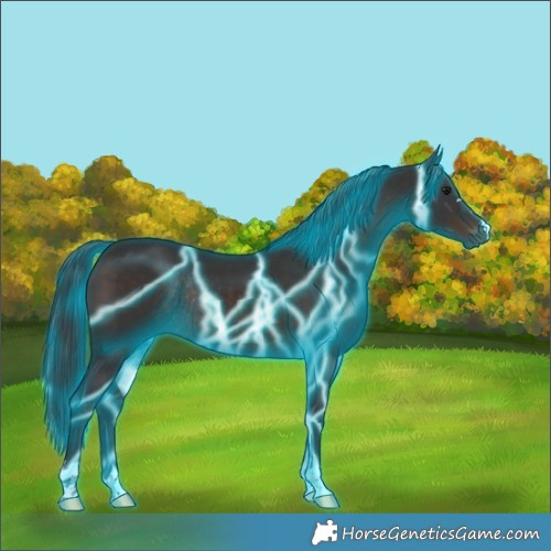 Horse Color:Thunderstruck Brown Rabicano