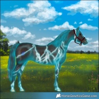 Horse Color:Thunderstruck Brown Rabicano 
