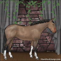 Horse Color:Liver Red Dun Tobiano Rabicano 