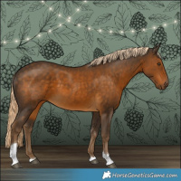 Horse Color:Chocolate Palomino Tobiano 