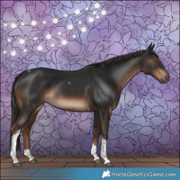 Horse Color:Liver Chestnut Tobiano 