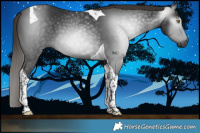 Horse Color:Gray Liver Chestnut Tobiano 