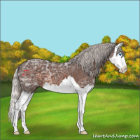 Horse Color:Silver Brown Ice Splash