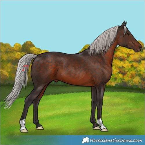 Horse Color:Silver Brown 