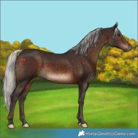 Horse Color:Silver Brown 