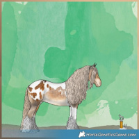 Horse Color:Chocolate Palomino Tobiano Blanket 