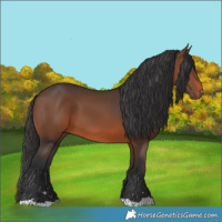 Horse Color:Brown 