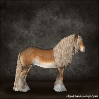 Horse Color:Chocolate Palomino 