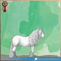 Horse Color:Perlino Dun Appaloosa 