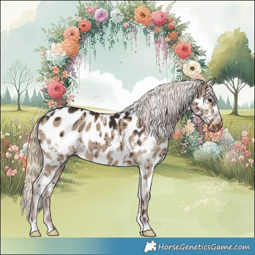Horse Color:White Spotted Liver Red Dun Appaloosa Brindle 